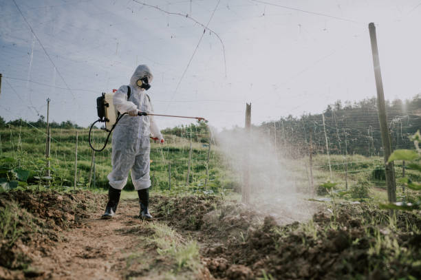 Best Pest Prevention Services  in Poquott, NY