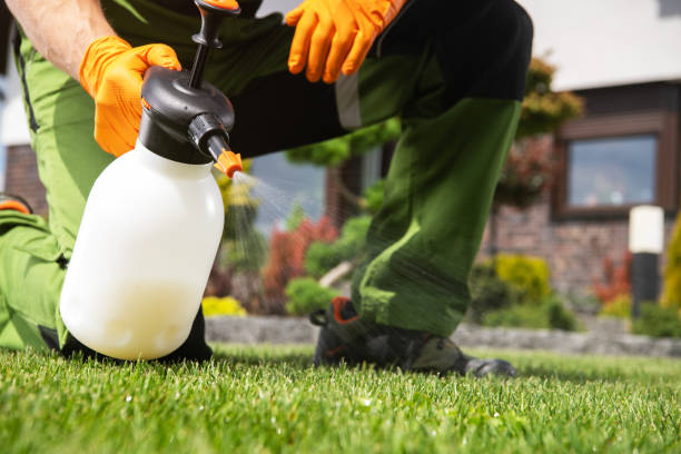 Flea Control Services in Poquott, NY
