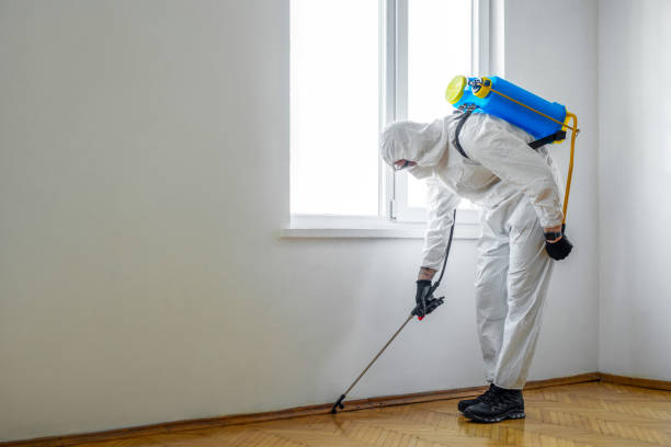 Best Residential Pest Control  in Poquott, NY
