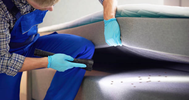 Best Mosquito Control Services  in Poquott, NY