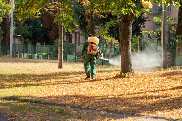 Best Rodent Control Near Me  in Poquott, NY