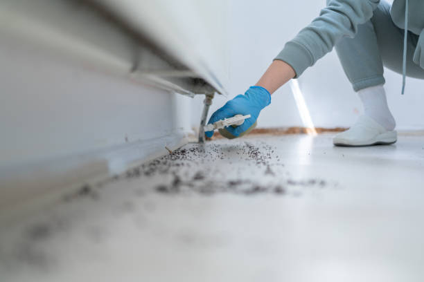 Best Pest Prevention Services  in Poquott, NY